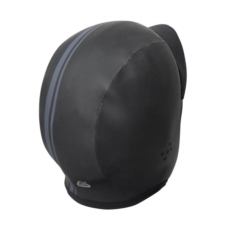 Alternative view of NP  PRO CAP   2018