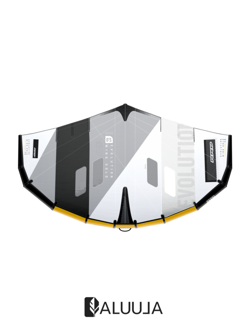RRD EVOLUTION GOLD WING Y29 - immagine 2